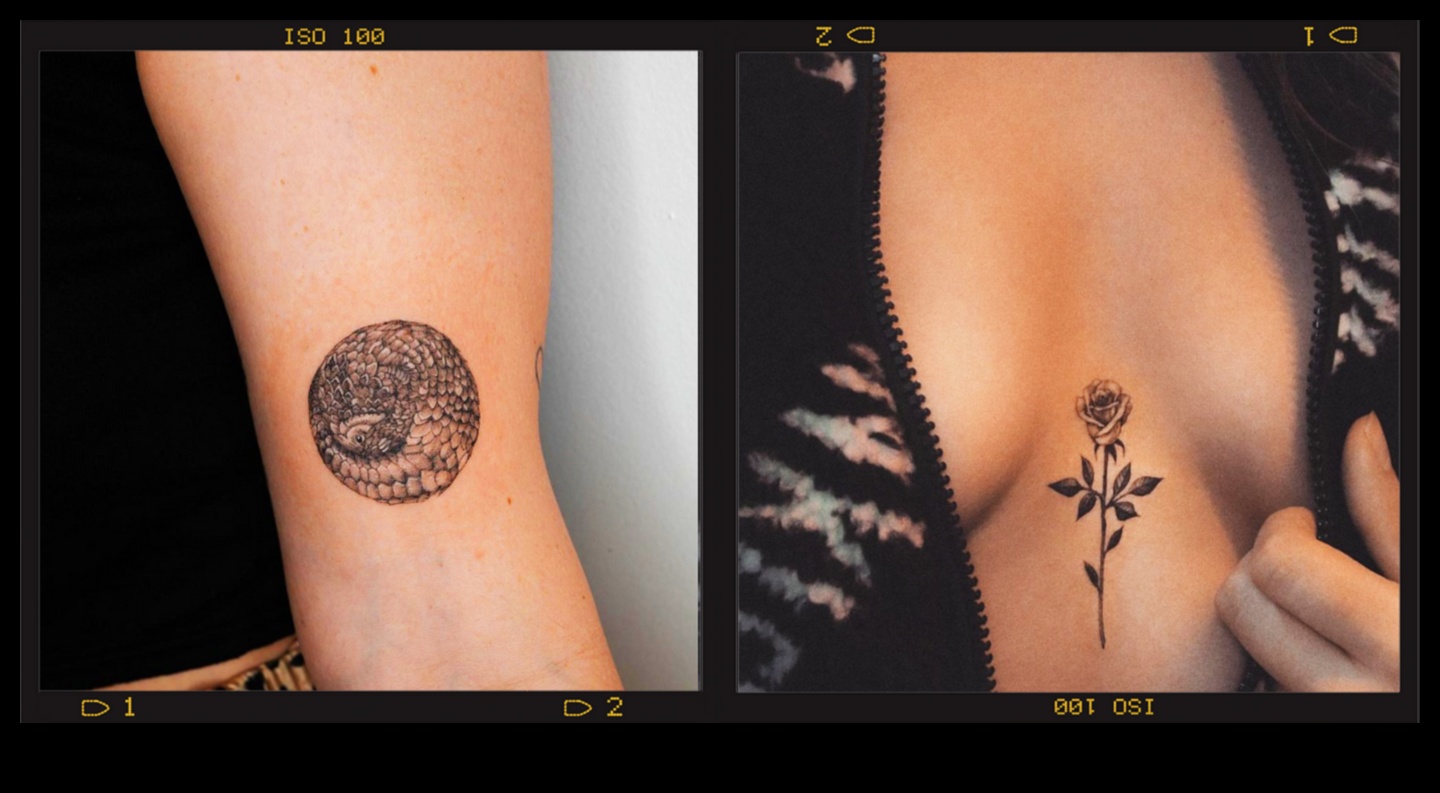 Λεπτές δηλώσεις Ανεβάστε το στυλ σας με το Minimalist Ink Artistry 5 Λεπτές δηλώσεις: Αναβαθμίστε το στυλ σας με τη μινιμαλιστική τέχνη της μελάνης