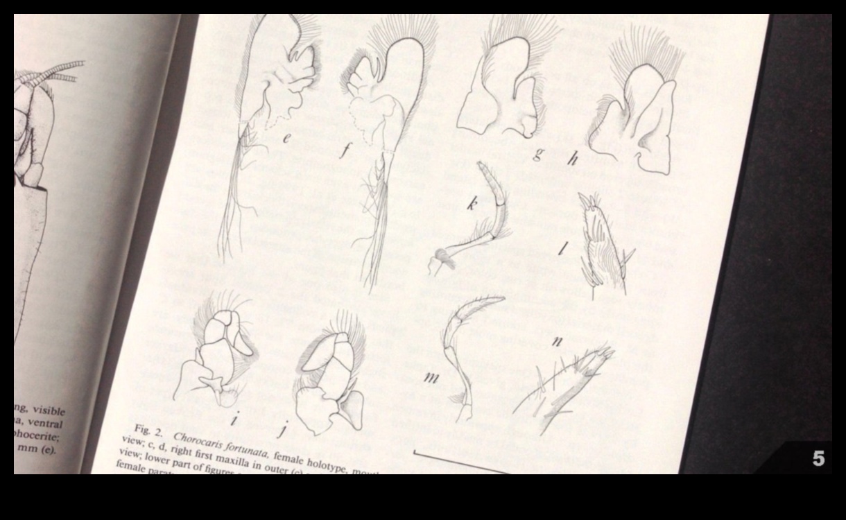 Επιστημονική Ακρίβεια: Μεταφορά δεδομένων μέσω λεπτομερών σχεδίων