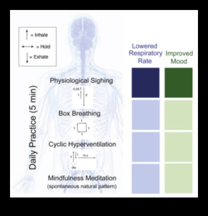 Αναπνεύστε εύκολα Μια προσέγγιση με επίκεντρο την αναπνοή για την καλλιέργεια τεχνικών ανακούφισης από το άγχος 4 Breathe Easy: Μια προσέγγιση με επίκεντρο την αναπνοή για την καλλιέργεια τεχνικών ανακούφισης από το άγχος