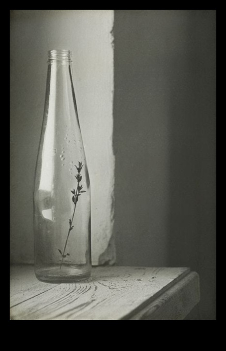 The Beauty of Simplicity: Νεκρή φύση σε μαύρο και άσπρο