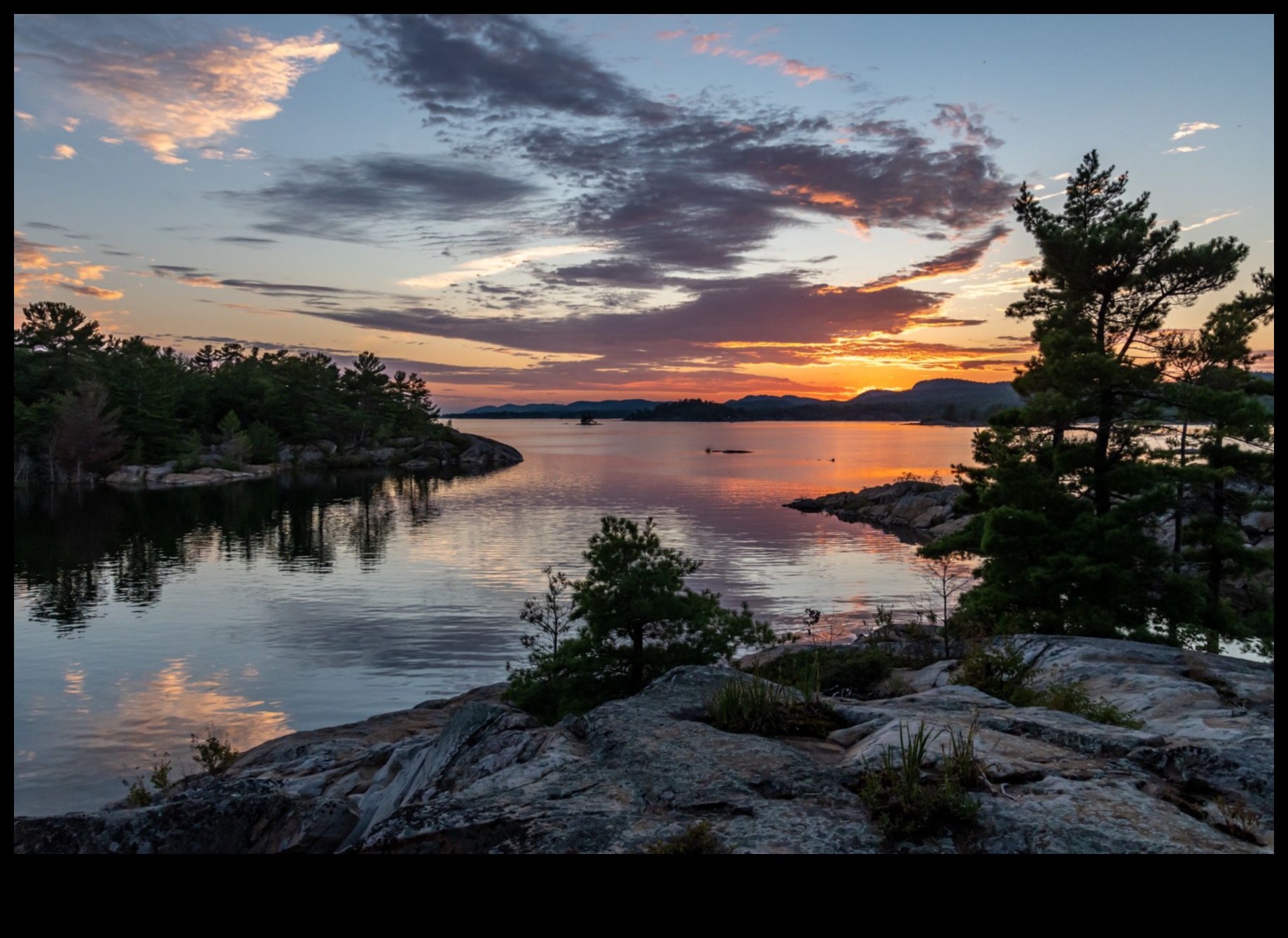 Φύση με χρώμα: Αιχμαλωτίζοντας την ομορφιά της χλωρίδας και της πανίδας με μολύβι