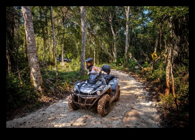 Mud, Rocks, and Thrills: Off-Road Adventures Await