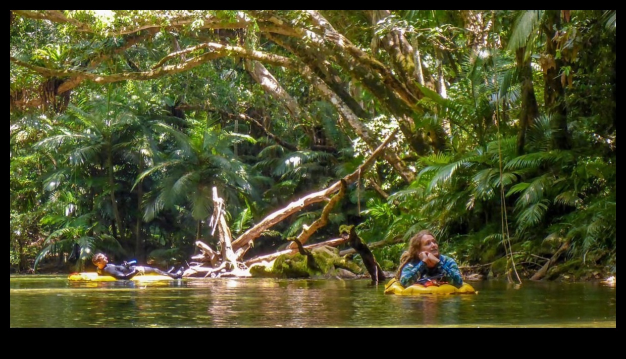 Backcountry Bliss: The Freedom of Off-Road Adventures in Nature's Playground