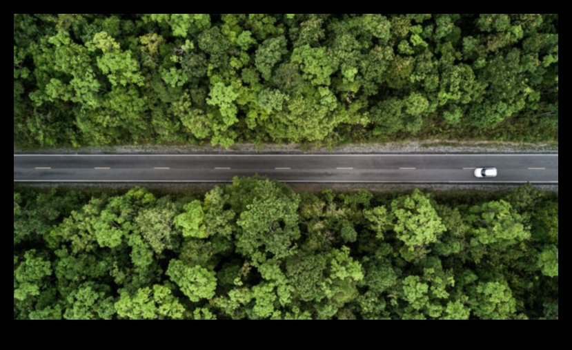 Green Highways: Εξερευνώντας τα φιλικά προς το περιβάλλον ταξίδια με ηλεκτρικά οχήματα