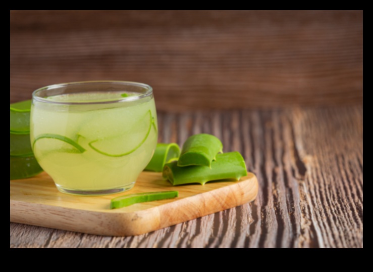 Ο απόλυτος οδηγός για ροφήματα με αλόη βέρα: Συμβουλές και κόλπα για ευεξία