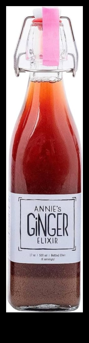 Ginger Sensations Ένας οδηγός για τη δημιουργία ακαταμάχητων υγιεινών ελιξιρίων 3 Ginger Sensations: Ένας οδηγός για τη δημιουργία ακαταμάχητων υγιεινών ελιξιρίων