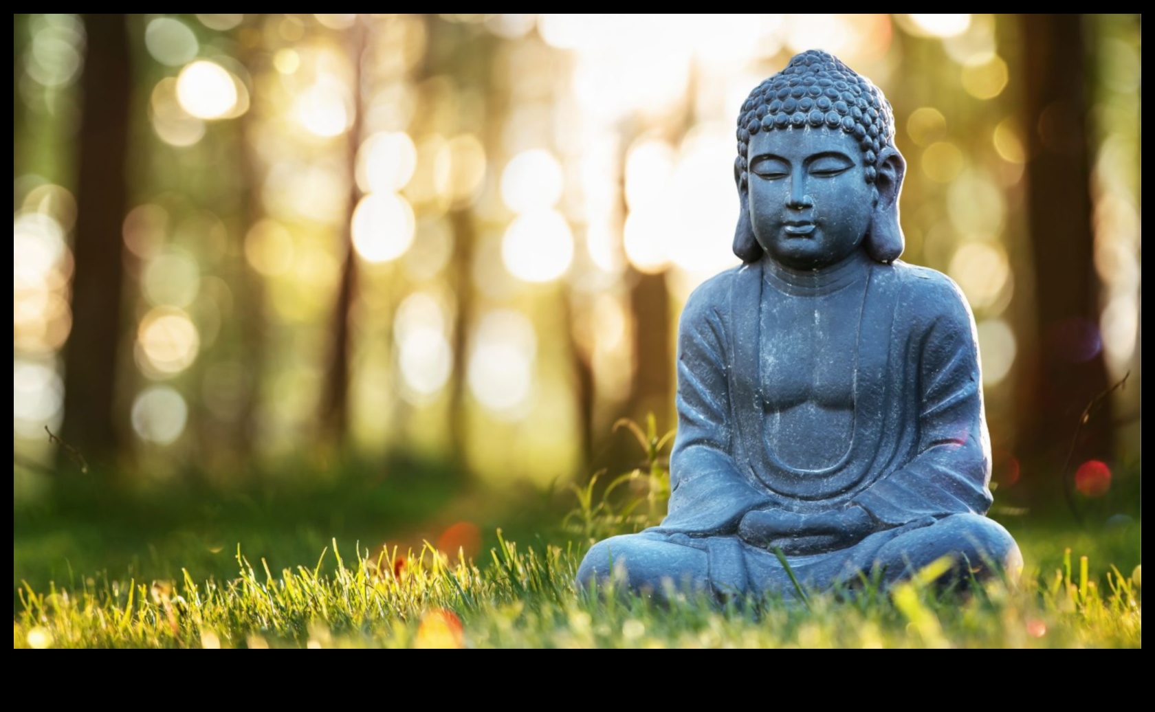 Σοφοί και ακινησία που αποκαλύπτουν τον διαλογισμό 2 Σοφοί και ακινησία: Αποκάλυψη του Διαλογισμού