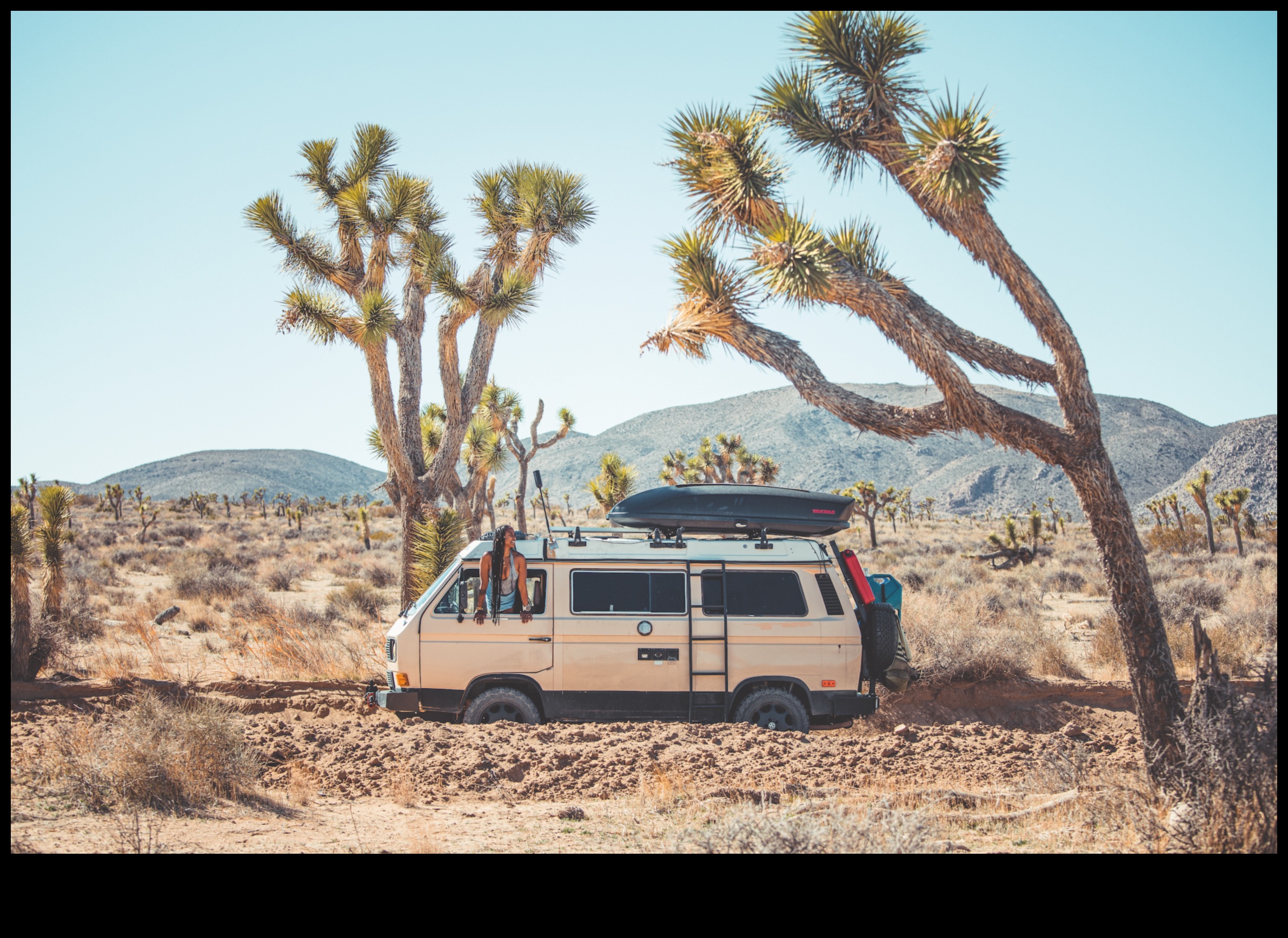 Urban Nomad Chronicles: Stories from City-Dwelling Van Enthusiasts