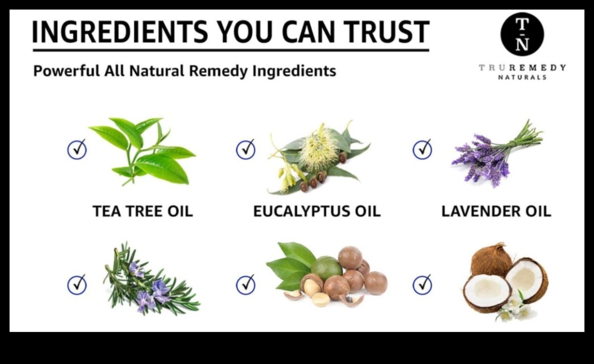 Aloe Elixir: Ανακαλύπτοντας τη φυσική καλοσύνη της φρέσκιας Aloe Vera