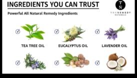 Aloe Elixir: Ανακαλύπτοντας τη φυσική καλοσύνη της φρέσκιας Aloe Vera