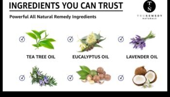 Aloe Elixir: Ανακαλύπτοντας τη φυσική καλοσύνη της φρέσκιας Aloe Vera