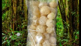 Chia Sensations: Ένας οδηγός για τη δημιουργία ακαταμάχητων υγιεινών ελιξιρίων