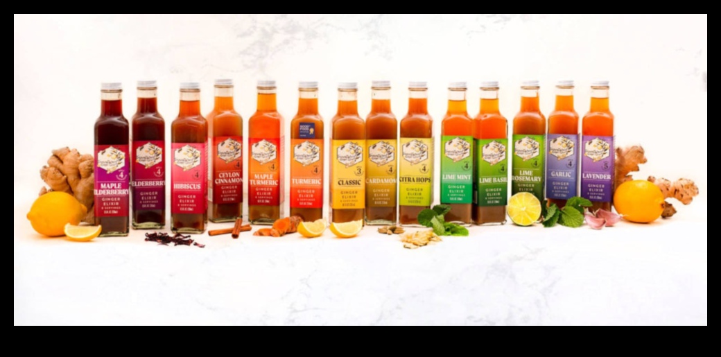 Ginger Sensations Ένας οδηγός για τη δημιουργία ακαταμάχητων υγιεινών ελιξιρίων 1 Ginger Sensations: Ένας οδηγός για τη δημιουργία ακαταμάχητων υγιεινών ελιξιρίων