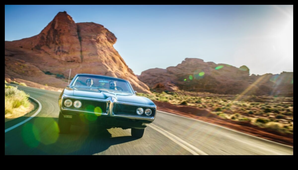 Cruising through History: A Journey with Vintage Cars and Bikes