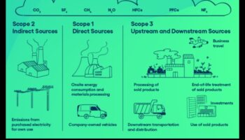 Commercial Fleet Footprints: The Impact of Vehicles on Business Operations