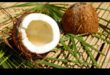 Coconut Magic: Ξεκλειδώνοντας τα μυστικά της ευεξίας σε κάθε γουλιά