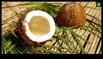 Coconut Magic: Ξεκλειδώνοντας τα μυστικά της ευεξίας σε κάθε γουλιά